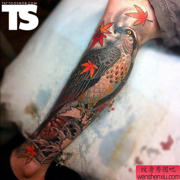 脚部一幅创意鹰文身作品