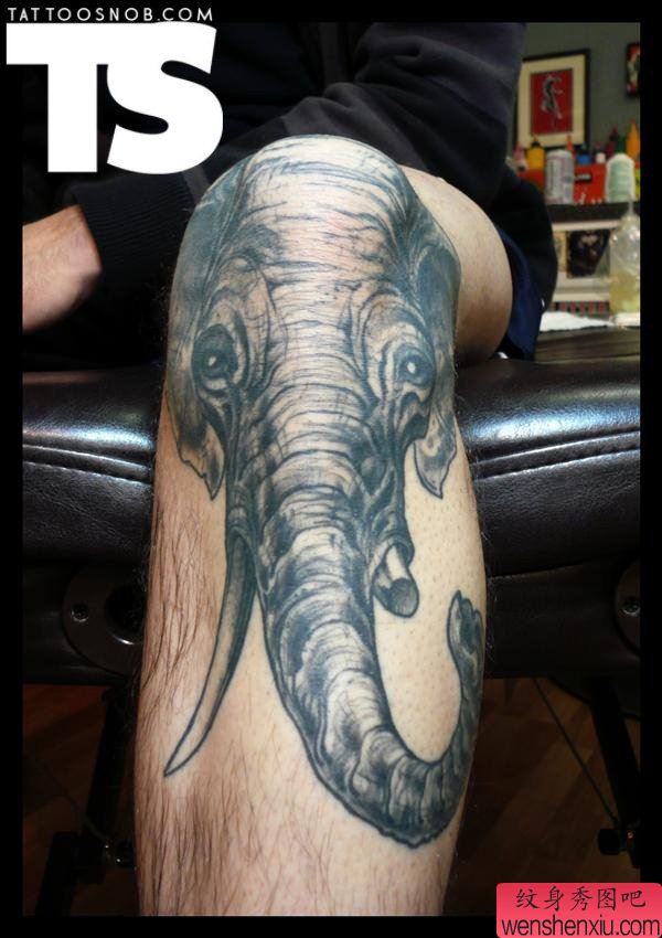 腿部一幅创意象文身作品