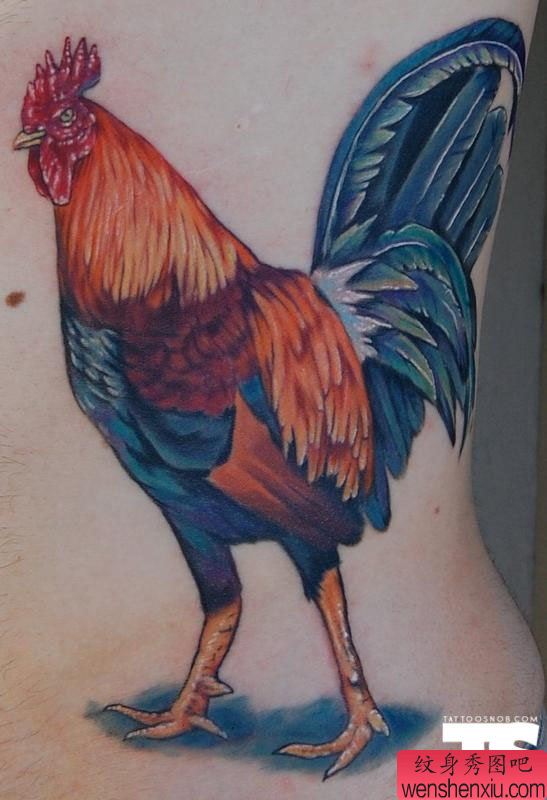 腰部一幅创意鸡文身作品