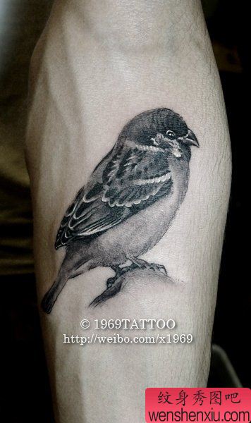 小清新腿部鸟文身作品