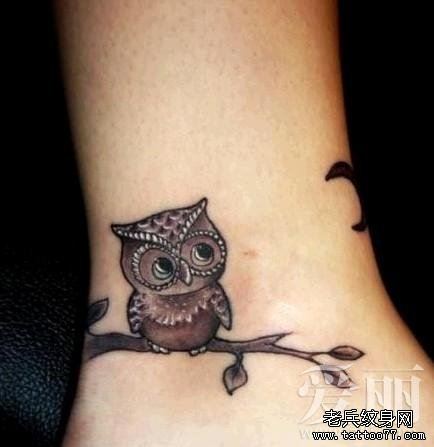 小清新脚部创意猫头鹰文身作品
