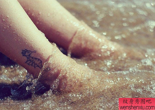 小清新脚部海马文身作品