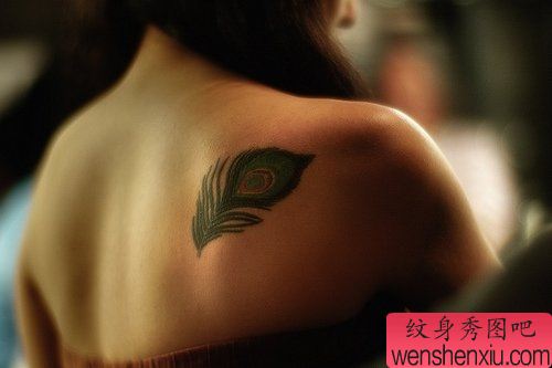小清新肩部羽毛文身作品