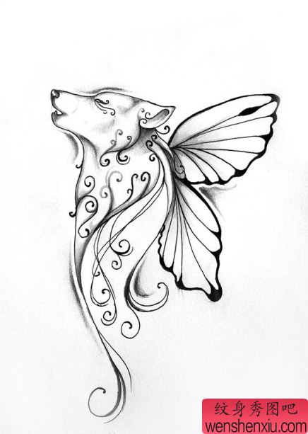 一幅简单的素描狐狸