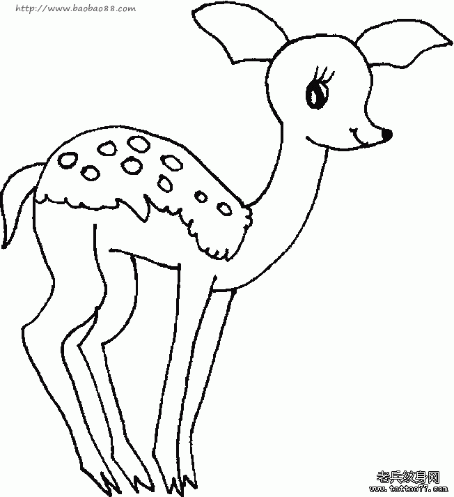 素描梅花鹿纹身图案纹身秀图吧推荐