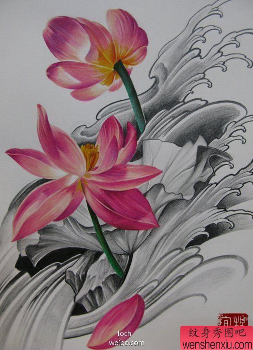 纹身秀图吧推荐一幅莲花纹身手稿图案