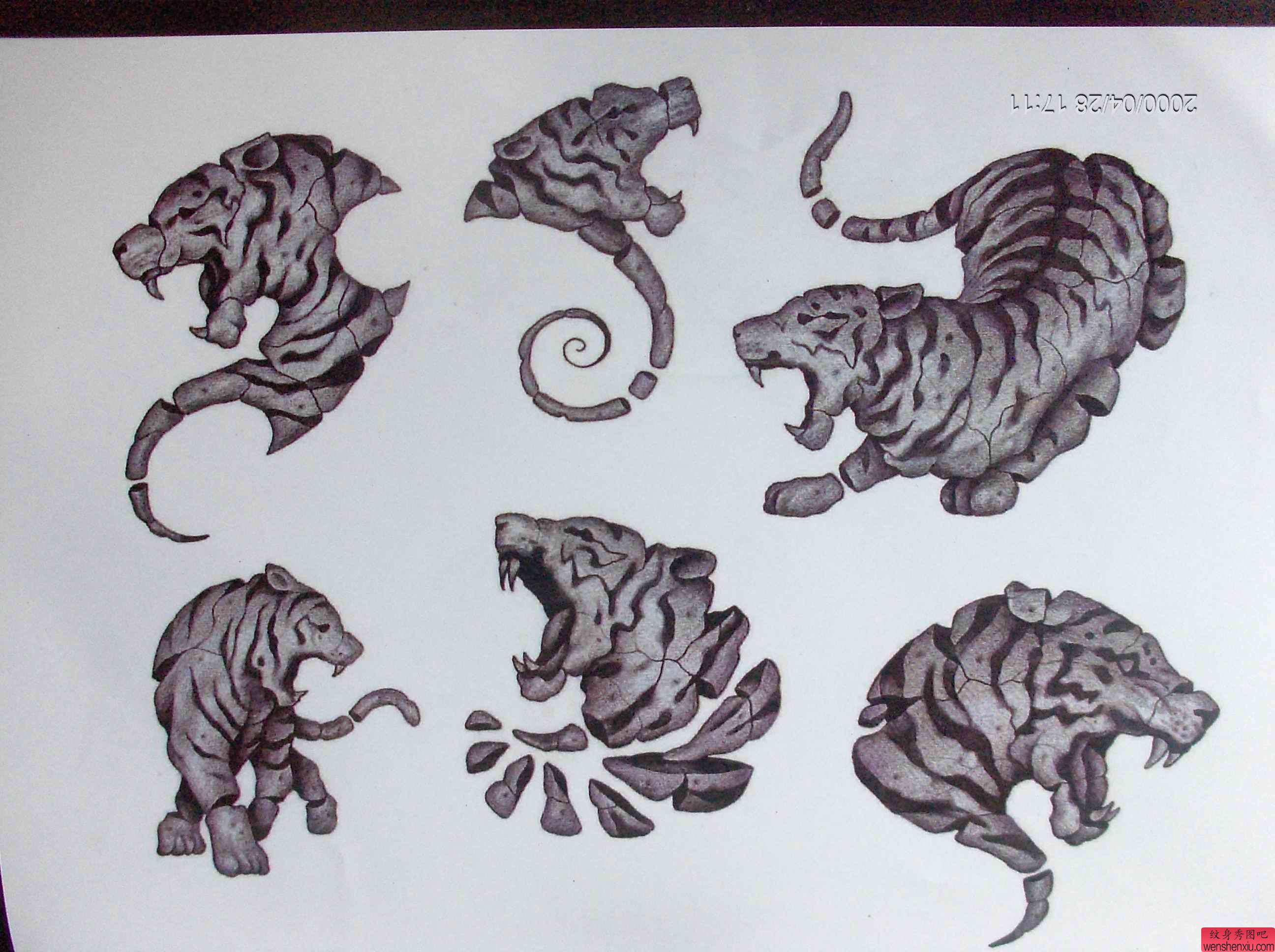 一组老虎纹身手稿
