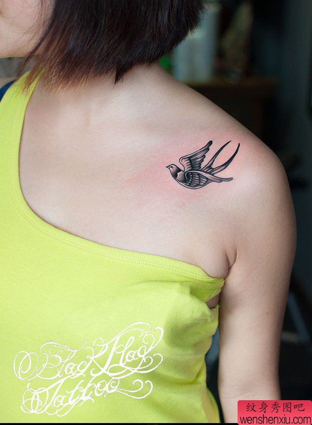 纹身秀图吧推荐一幅小清新锁骨燕子纹身图案