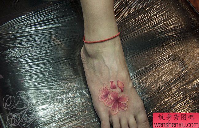 脚背樱花梅花纹身图案