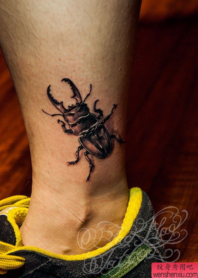 纹身秀图吧分享一幅脚踝甲虫纹身图案
