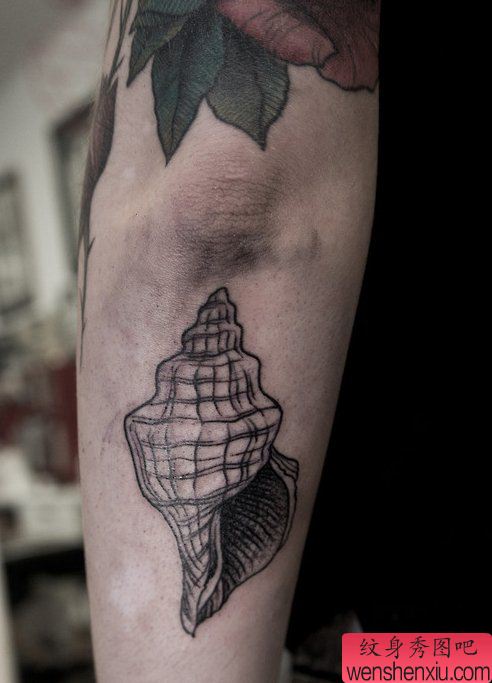 手臂海螺纹身图案