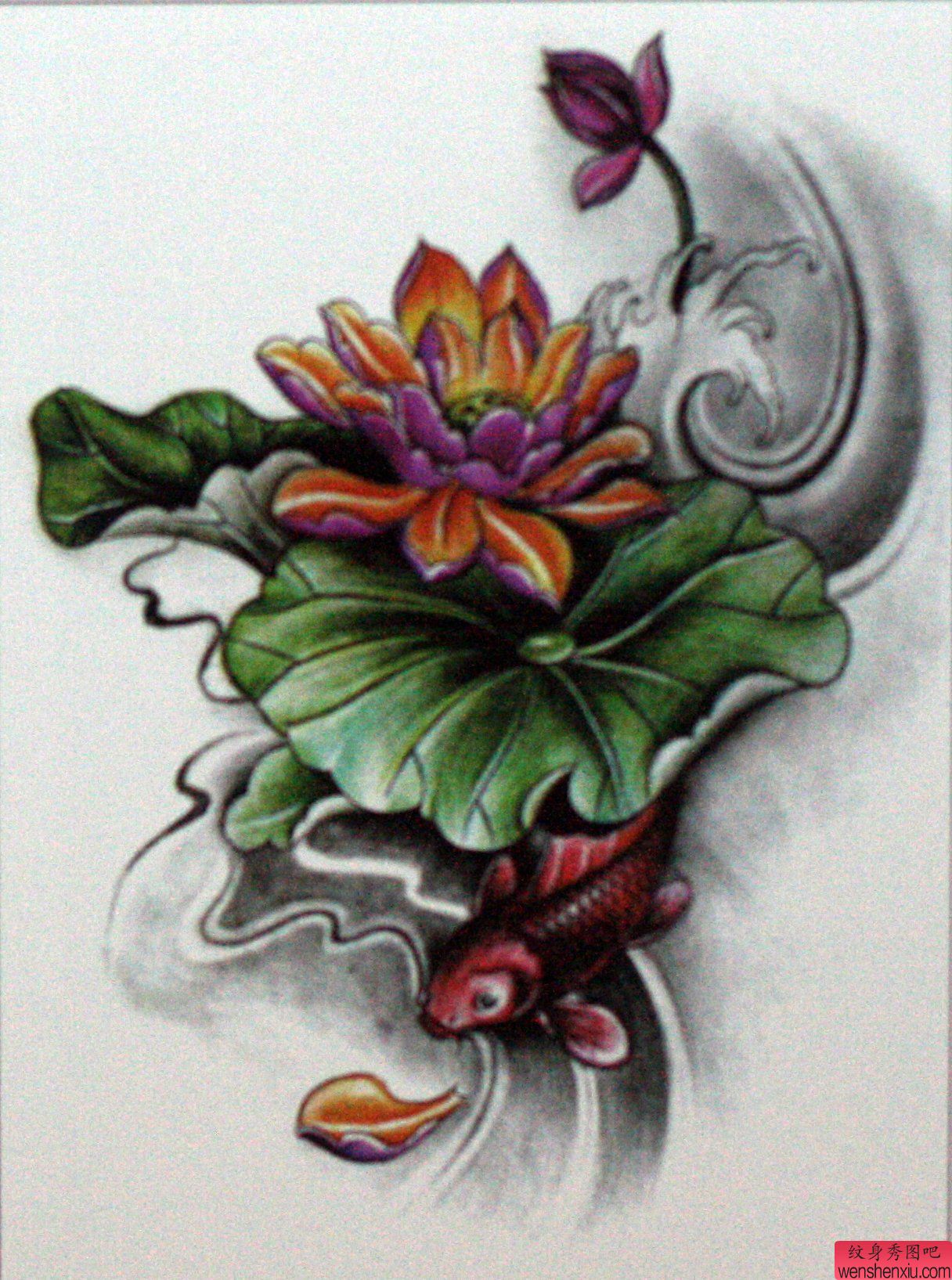 纹身秀图吧分享一幅彩色莲花纹身手稿