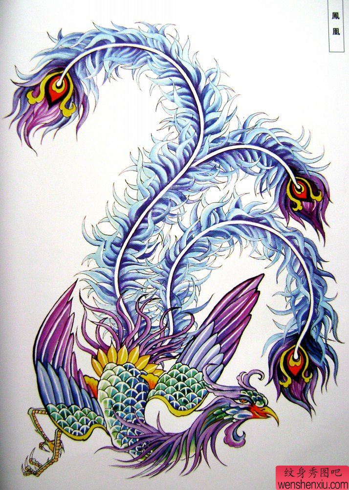 纹身秀图吧推荐一幅彩色凤凰纹身手稿