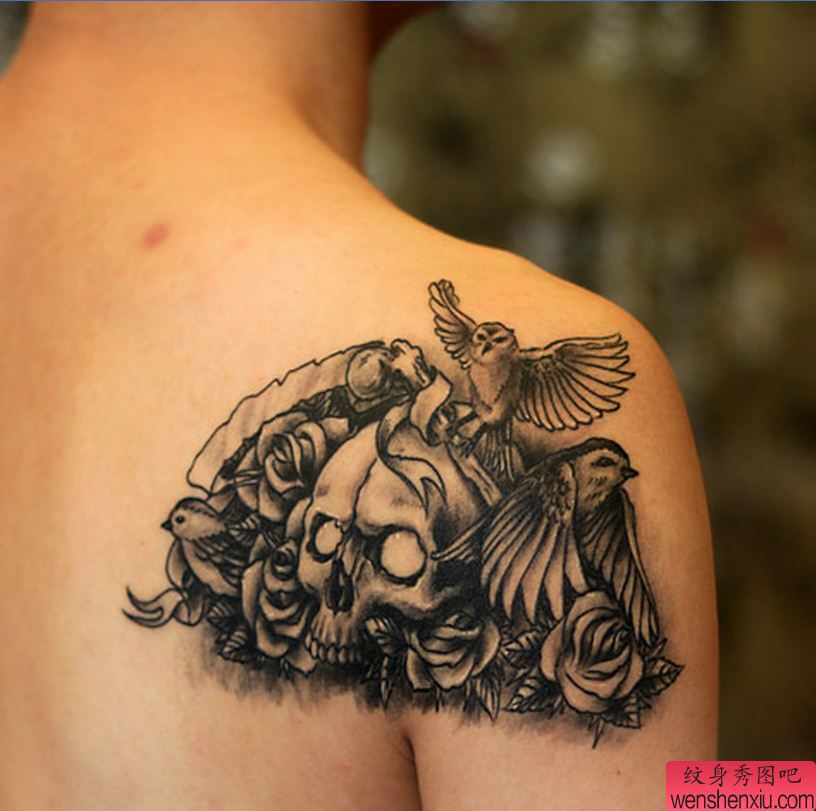 纹身秀图吧推荐一幅背部骷髅玫瑰花鸟纹身图案