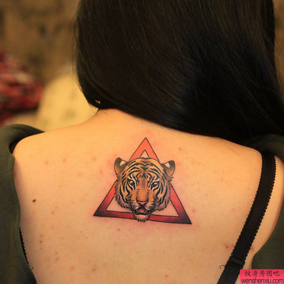 纹身秀图吧推荐一幅背部老虎纹身图案
