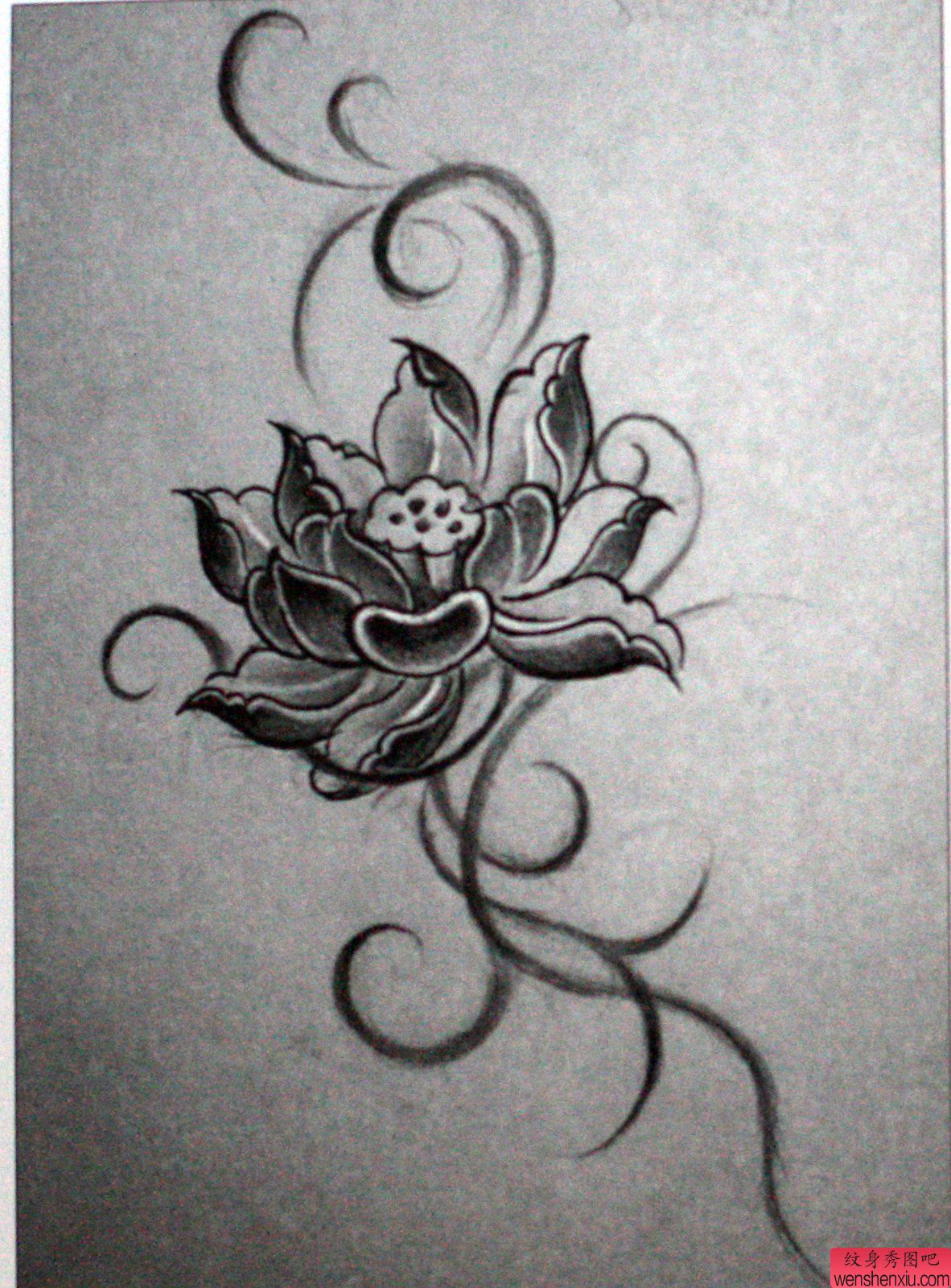 纹身秀图吧推荐一幅莲花纹身手稿图案