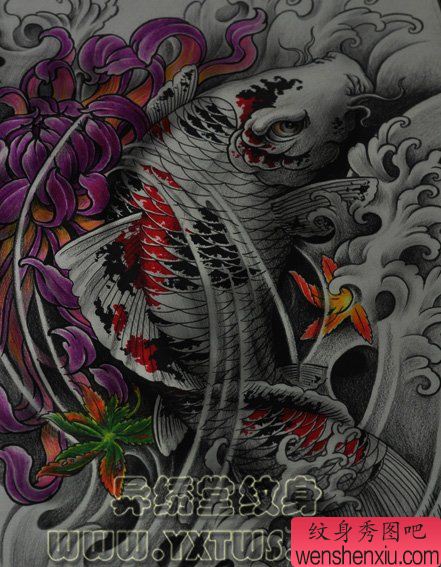 纹身秀图吧推荐一幅锦鲤菊花纹身图案