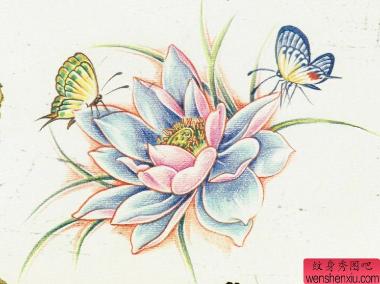 莲花蝴蝶纹身手稿图