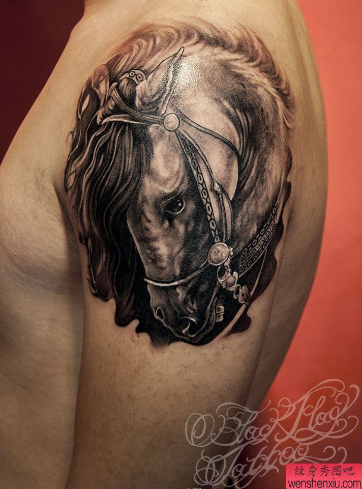 纹身秀图吧推荐一幅大臂马纹身图案