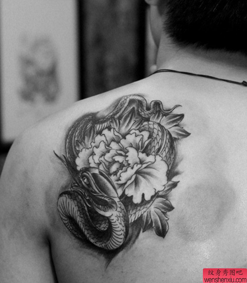 纹身秀图吧推荐一幅蛇牡丹花纹身图案