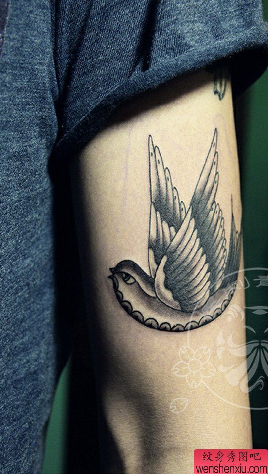 纹身秀图吧推荐一幅手臂燕子纹身图案