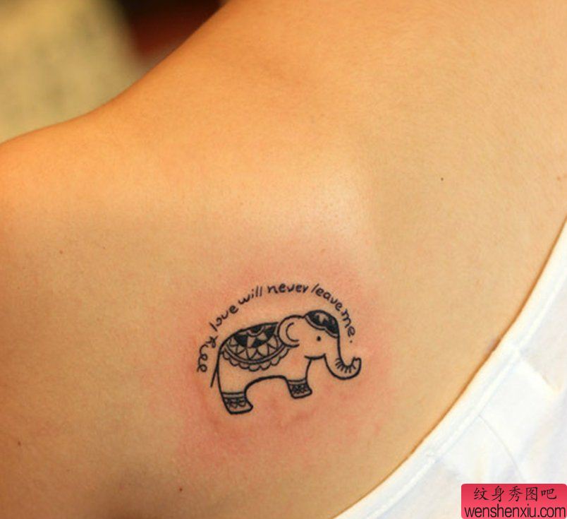 纹身秀图吧推荐一幅女人背部卡通象纹身图案
