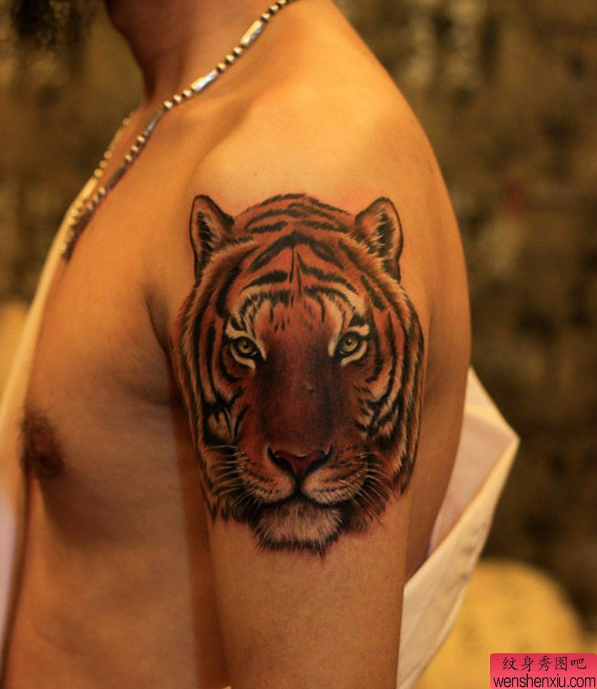 纹身秀图吧推荐一幅大臂老虎纹身图案
