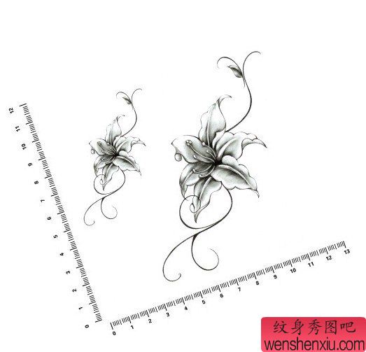 一幅百合纹身手稿图案