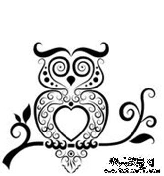 猫头鹰纹身手稿图案