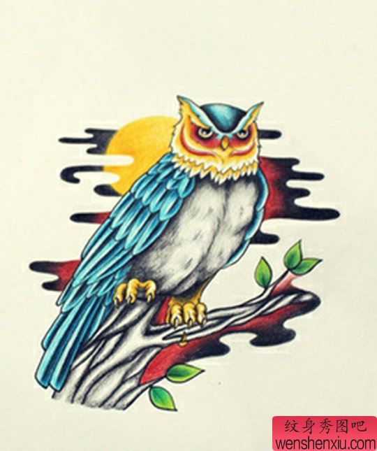 纹身秀图吧推荐一幅彩色猫头鹰纹身手稿图案
