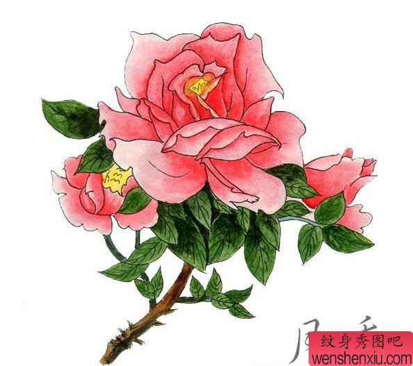 花纹身手稿图案