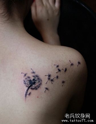 一幅背部蒲公英刺青图案
