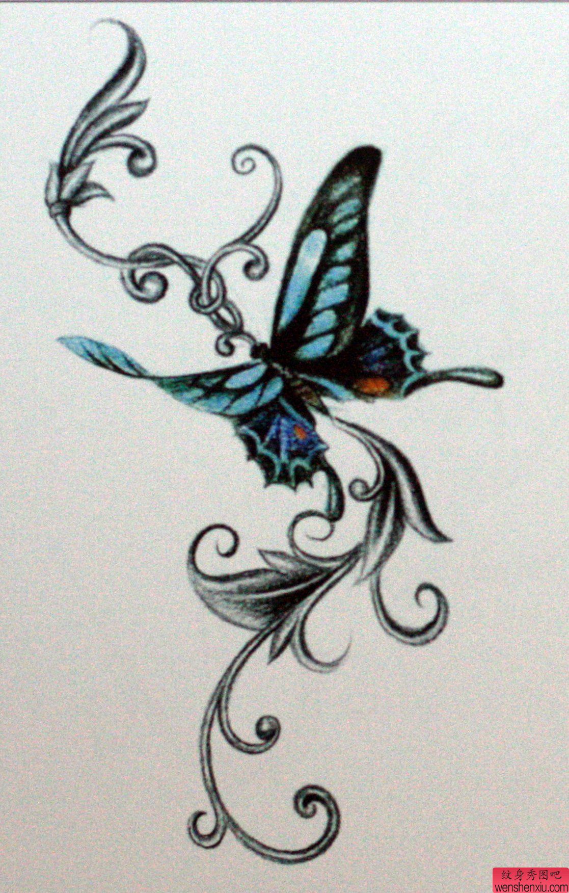 一幅蝴蝶刺青图案