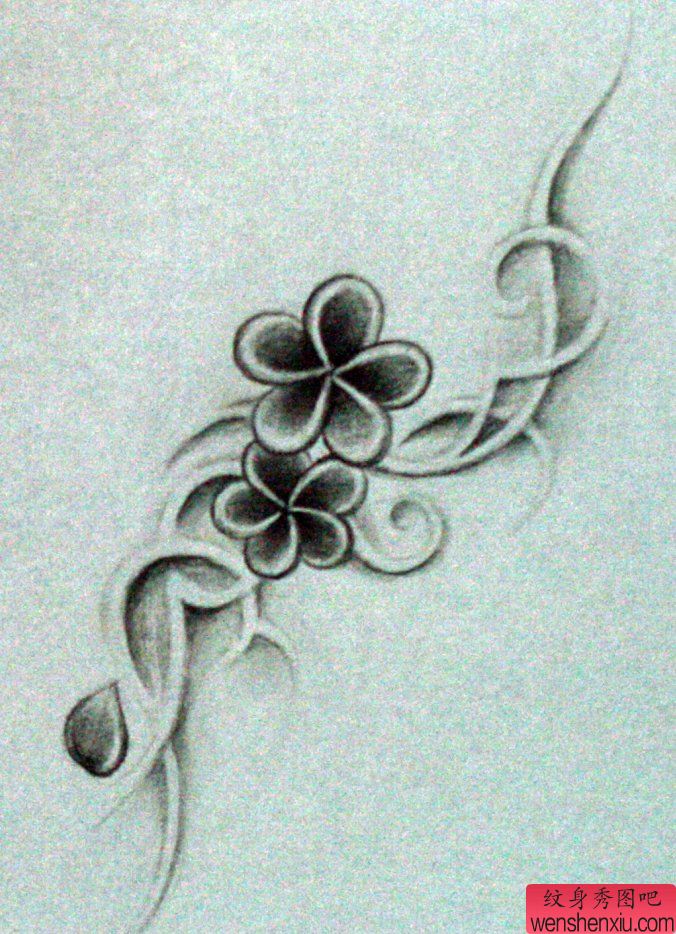 四叶草纹身手稿图案