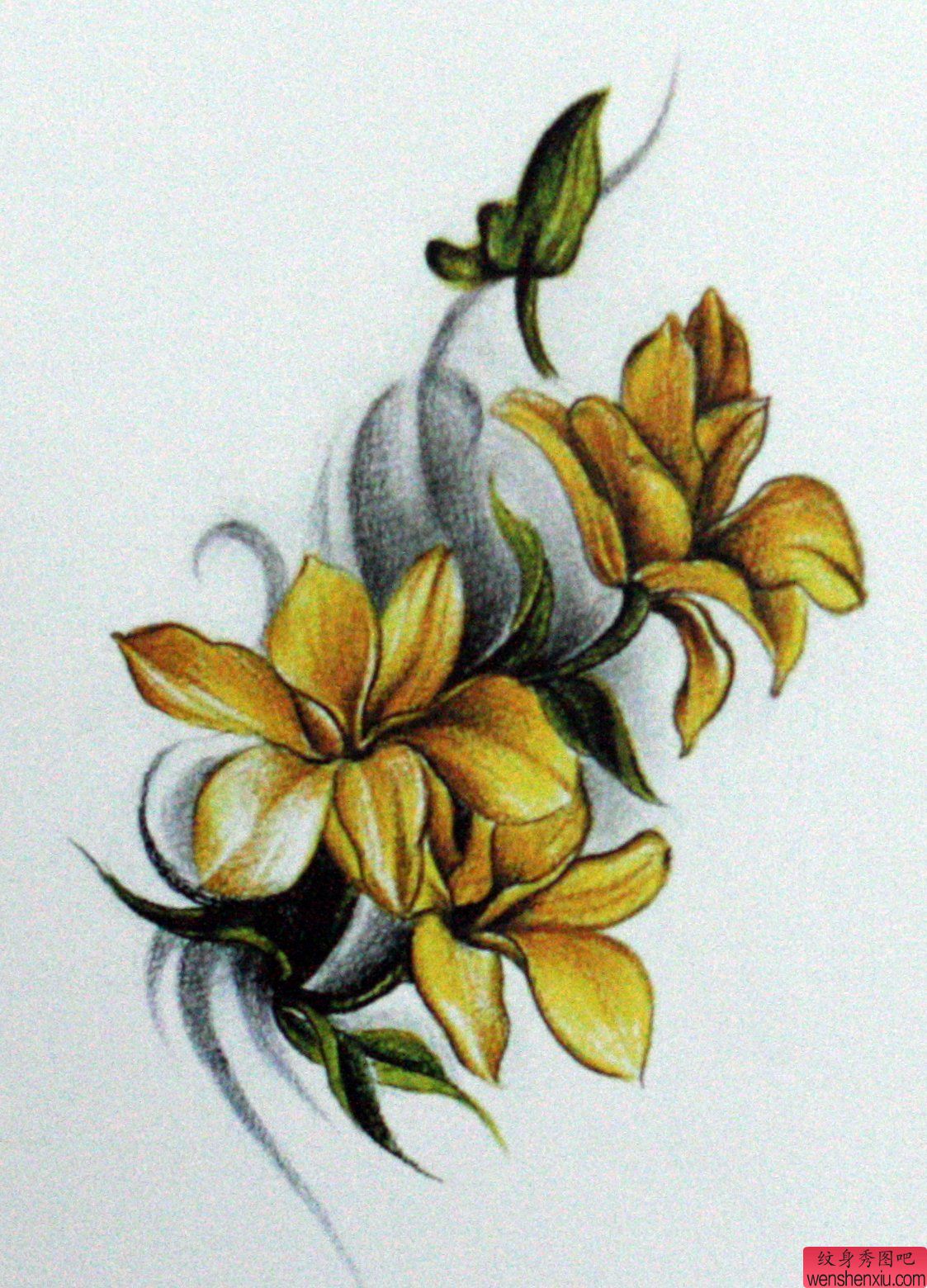 一幅花纹身手稿图案