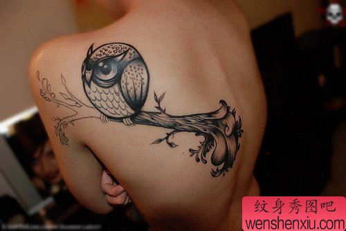纹身秀图吧推荐一幅女人肩部猫头鹰刺青图案