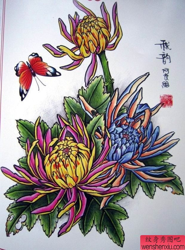 一幅菊花蝴蝶刺青手稿图案