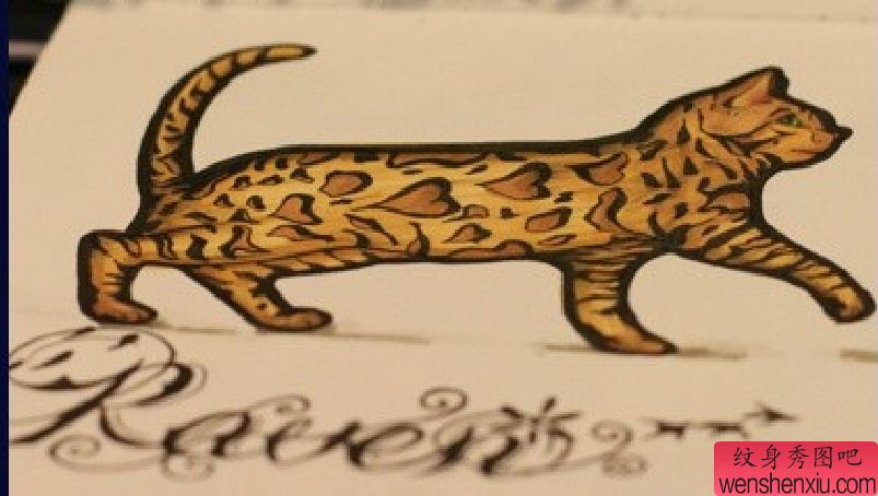 纹身秀图吧分享一幅猫咪字母刺青手稿图案