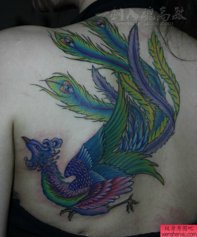 一幅女人背部凤凰刺青图案