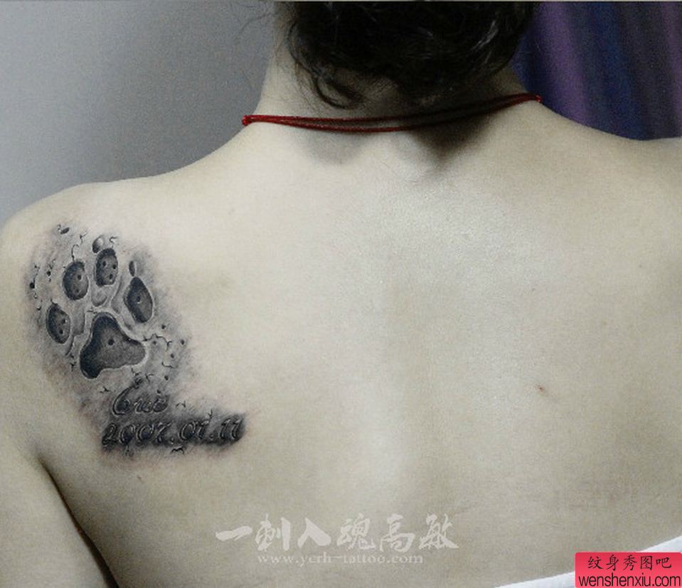 纹身秀图吧推荐一幅背部狗爪刺青图案