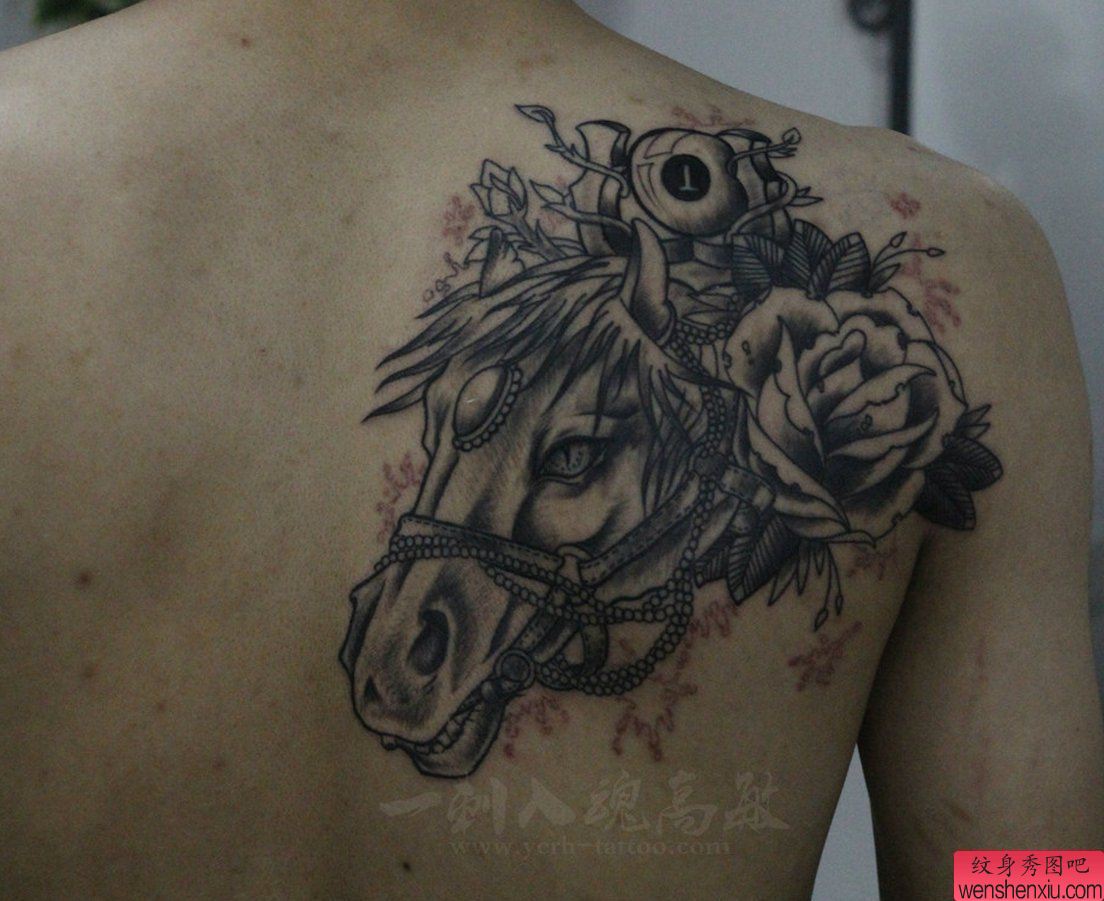 纹身秀图吧推荐一幅背部马刺青图案