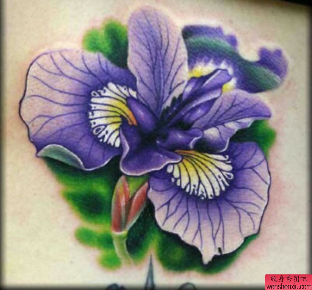 纹身秀图吧推荐一幅蝴蝶兰刺青图案