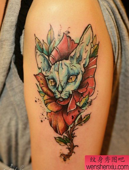 一幅手臂彩色刺青图案