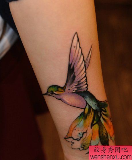 纹身秀图吧推荐一幅女人手臂彩色燕子刺青图案