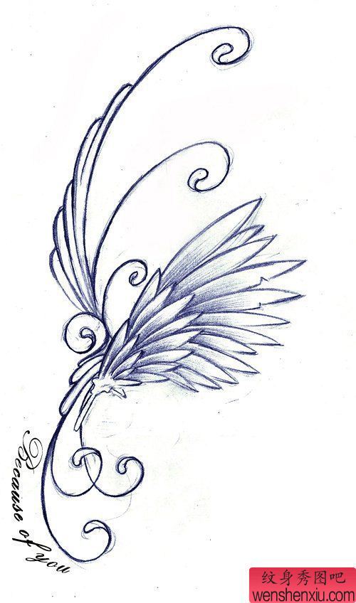 一幅翅膀手稿图案