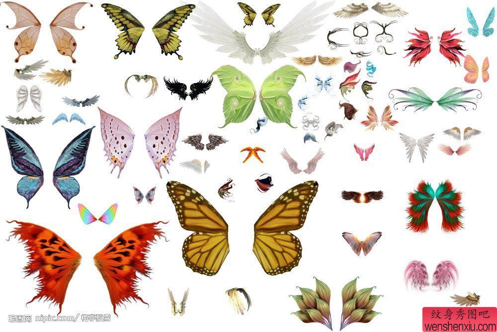 一组蝴蝶纹身手稿图案
