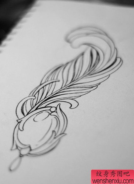 纹身秀图吧推荐一幅羽毛手稿图案