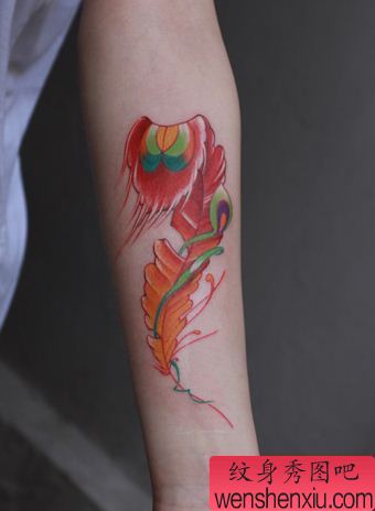 纹身秀图吧推荐一幅手臂彩色羽毛纹身图案