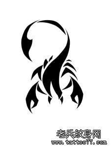 最好的文身店推荐一幅蝎子纹身图案