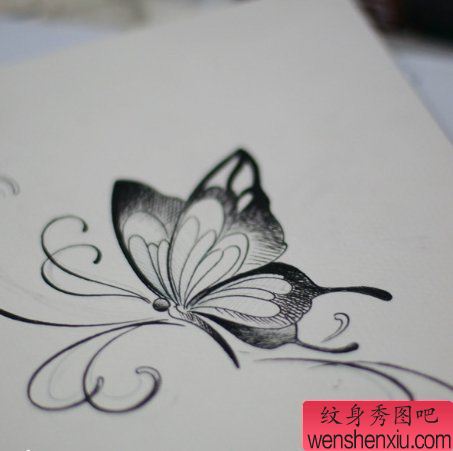 一幅蝴蝶纹身手稿团